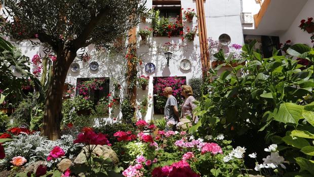 La Fiesta de los Patios de Córdoba