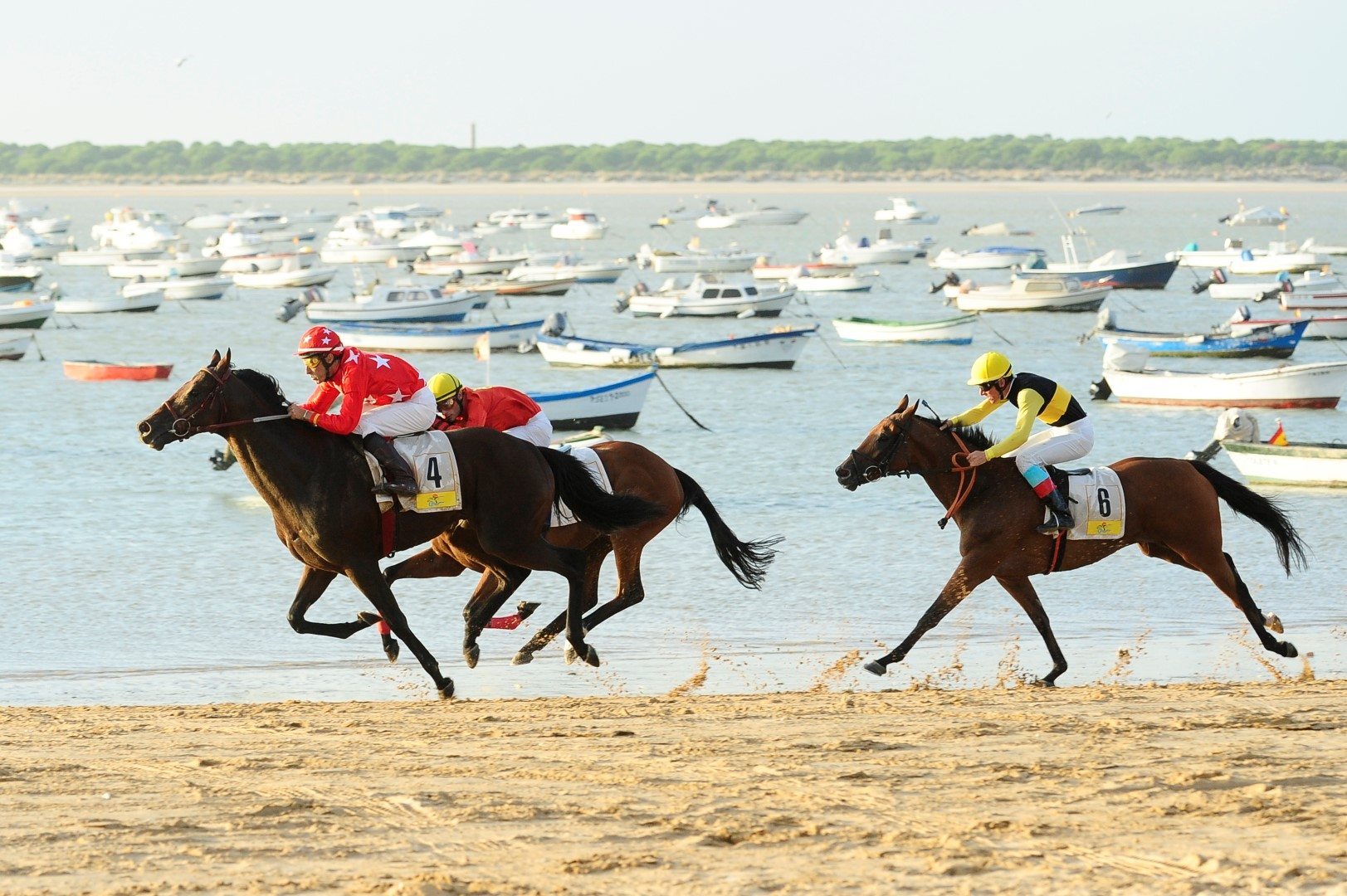 Carreras de Caballos de Sanlúcar de Barrameda