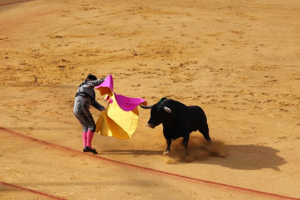 Visit to the Bullring